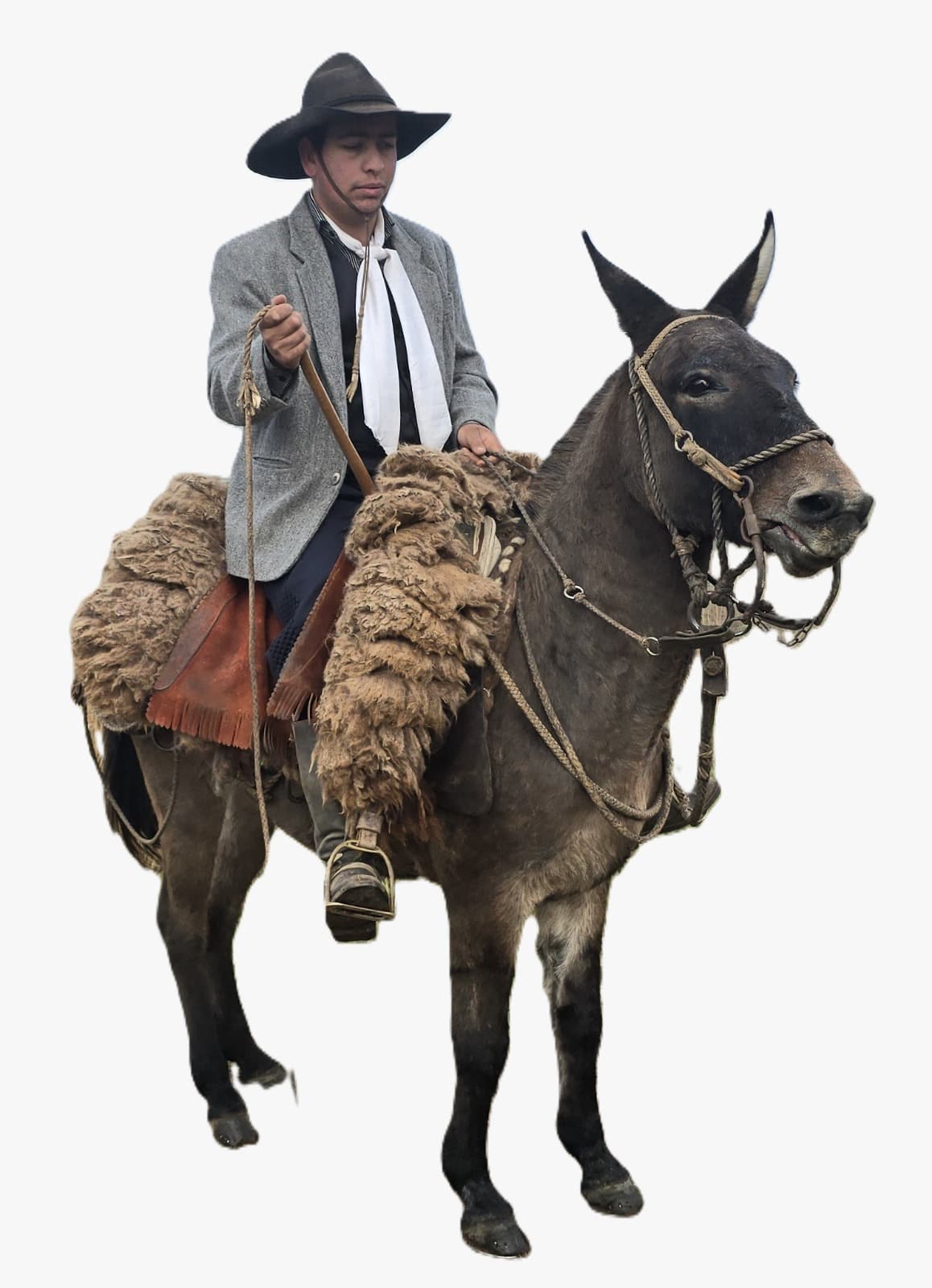 Amélia Podalan Flüel